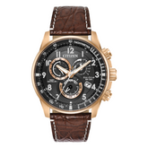 Citizen Limited Edition PCAT Watch with Brown Leather Strap AT4133-09E